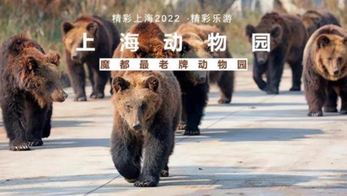 2022《精彩上?！仿糜温?lián)票