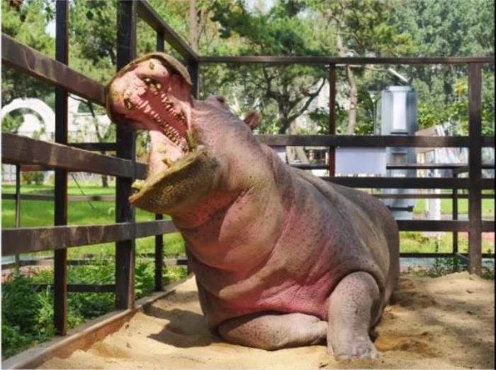 鞍山動物園