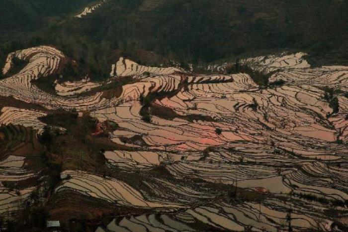 老虎嘴梯田景區