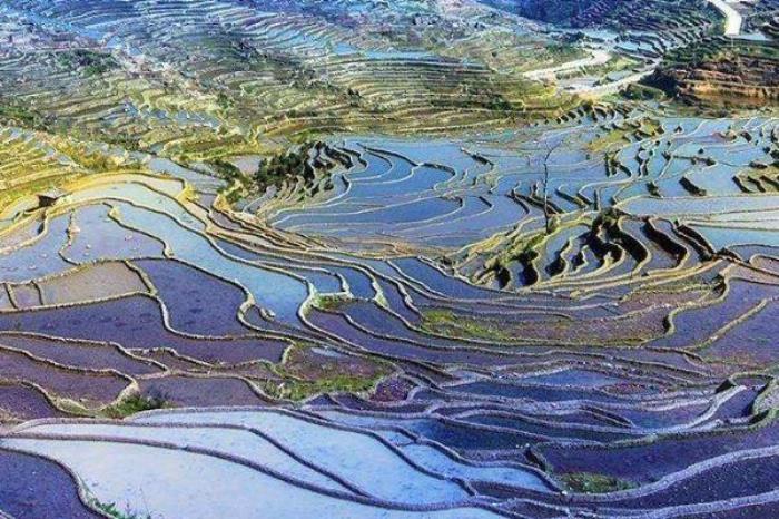 桂東梯田