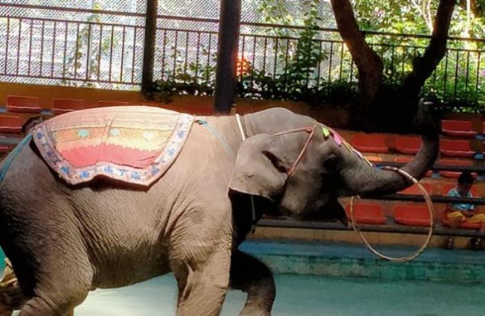 水樂歡水上樂園