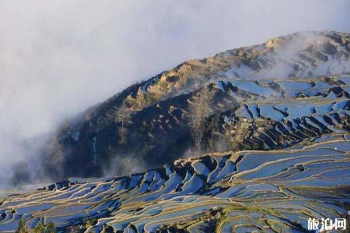 元陽哈尼梯田景區(qū)