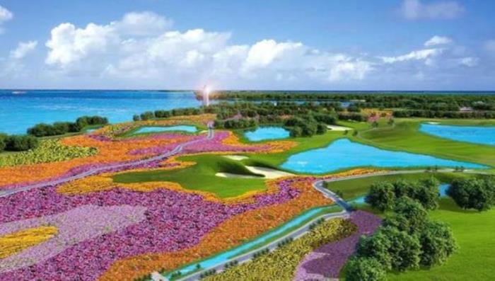 金灣花海