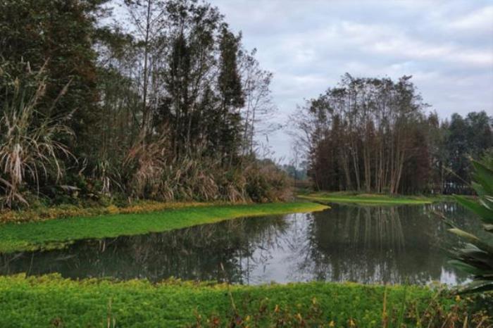榿木河濕地公園