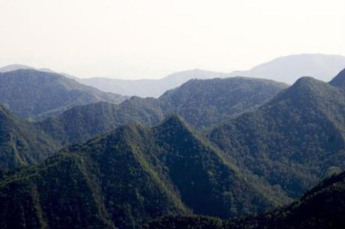 黃連山國家級自然保護區
