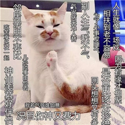 德興商務(wù)伴游花藝師肖濟(jì)嬋