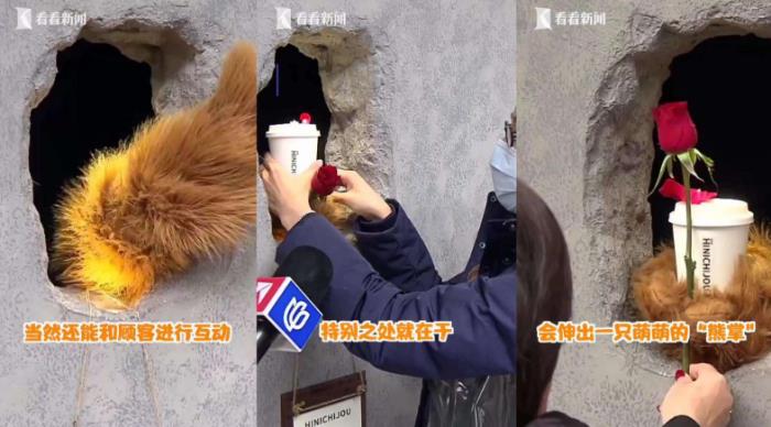 上海網(wǎng)紅熊爪咖啡店在哪里 熊爪咖啡店名是什么
