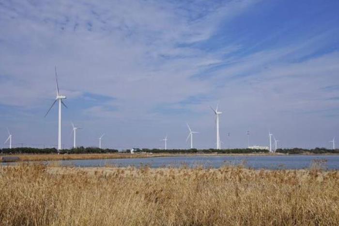 2022陽澄湖大閘蟹開捕時(shí)間 幾月份最好吃