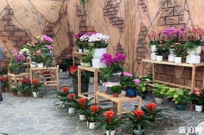 長春公園新建“熱帶雨林”科普園 在哪-怎么樣