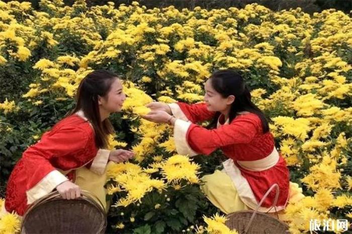 廣元有什么特產可以帶走