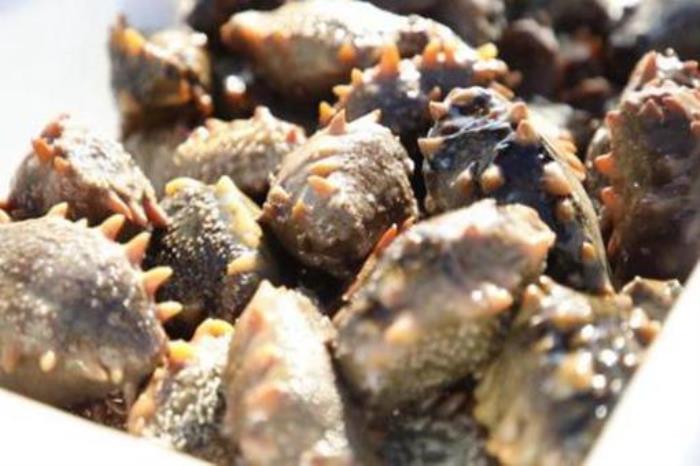 大連絕對不能錯(cuò)過的土特產(chǎn)推薦
