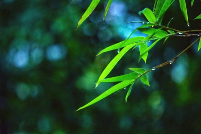 無錫土特產(chǎn)有哪些吃的 無錫有啥特產(chǎn)